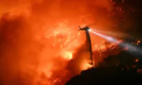 24 Dead as Firefighters Race to Contain Los Angeles Wildfires; High Winds Expected to Return