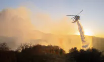 Brush Fire in San Diego Community Causes Brief Evacuations