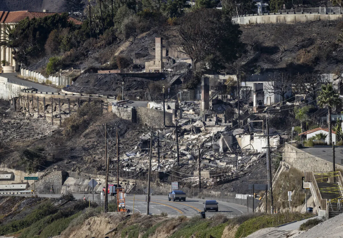 A convoy of Tesla Cyber Trucks travels with Los Angeles Police Department officers along the Pacific Coast Highway during the Palisades Fire outside near Los Angeles on Jan. 13, 2024. (John Fredricks/The Epoch Times)