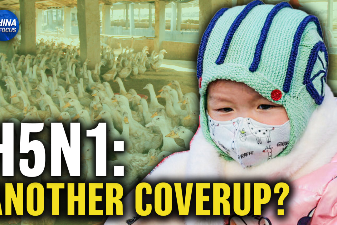 Insider Blows Whistle on Chinas Bird Flu Reporting