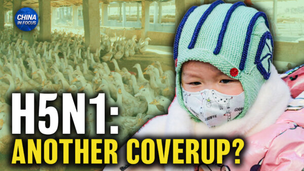 Insider Blows Whistle on China's Bird Flu Reporting