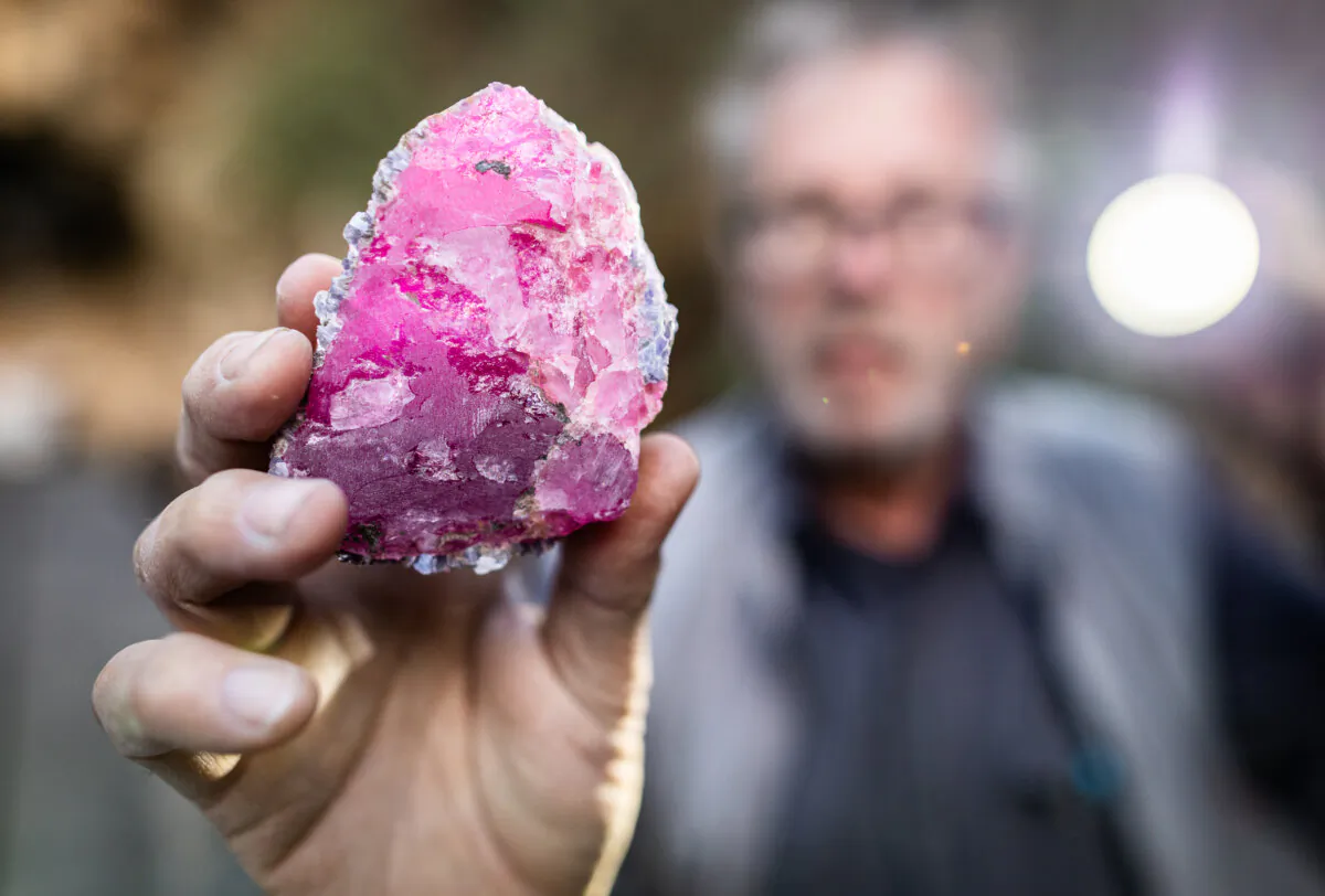 Miner and master gem cutter Blue Sheppard inspects a pink tourmaline specimen from the Stewart Mine near Pala, Calif., on Dec. 27, 2024. (John Fredricks/The Epoch Times)