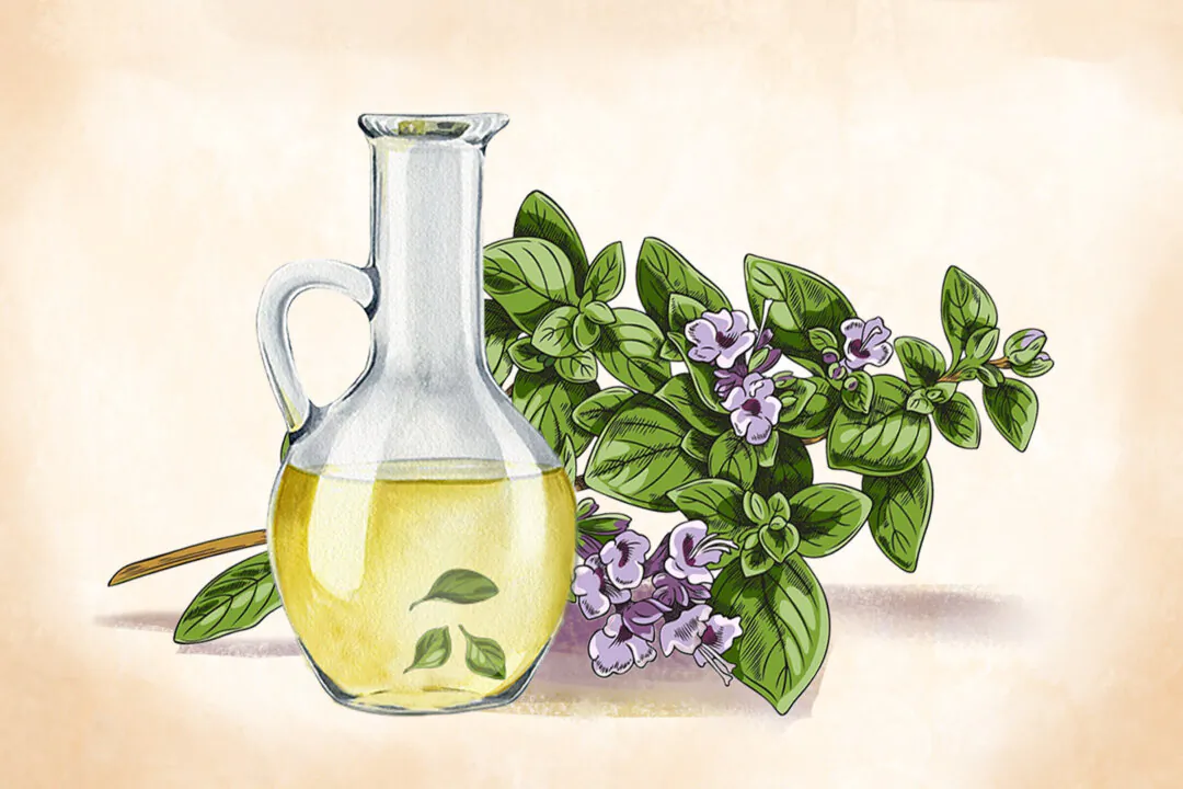 Best known to Americans for being a pizza herb, oregano is a potent infection-fighter. (Illustration by The Epoch Times, Shutterstock)