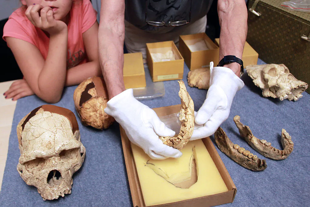 On July 16, 2013, a paleontologist holds a jawbone of a Homo erectus uncovered in 1971 at the prehistoric Caune de l'Arago in France. (Raymond Roig/AFP via Getty Images)