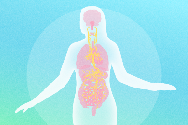 How the Vagus Nerve Controls the Health of Major Organs