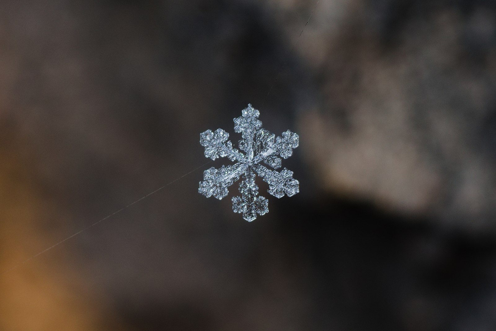 Snowflake