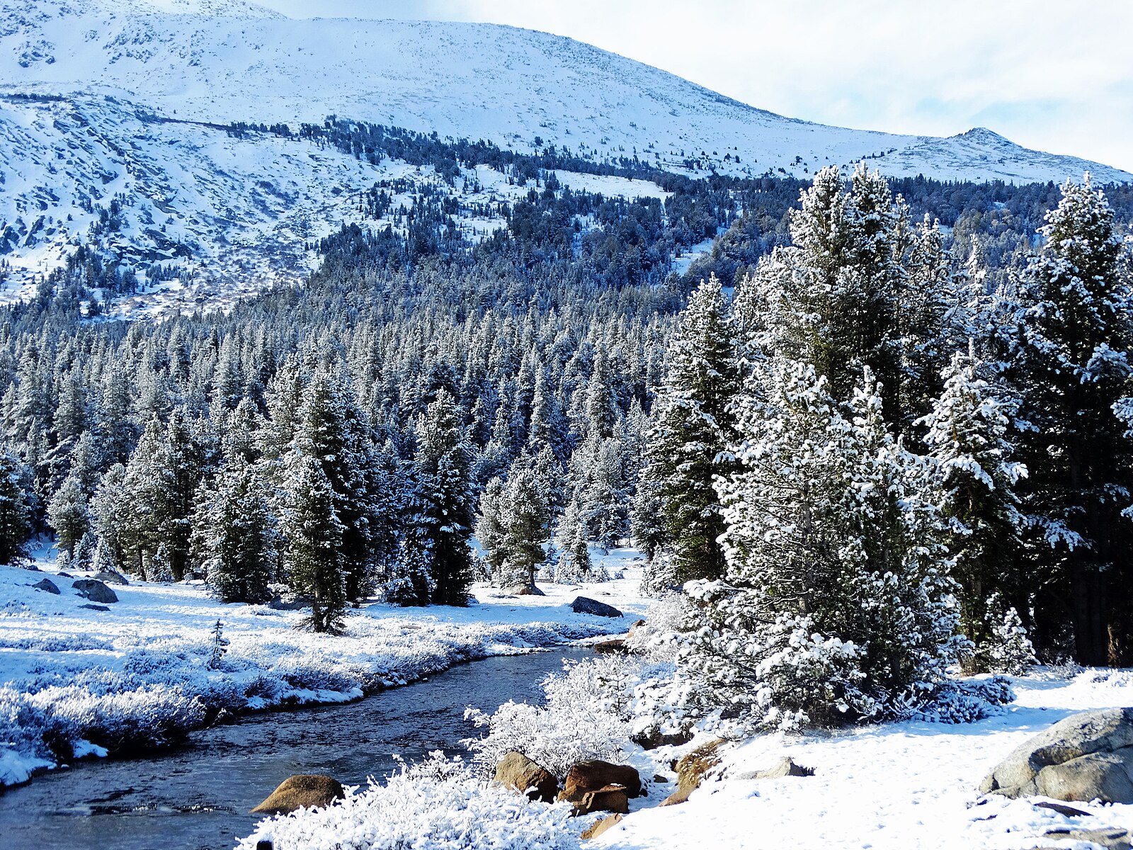 Tioga pass, Yosemite