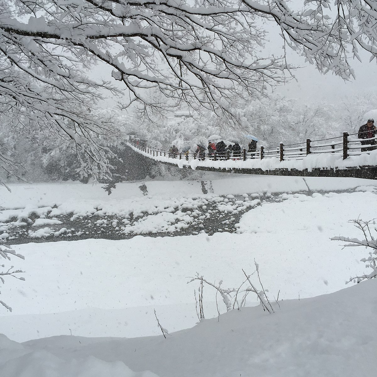 Shirakawa, Japan, Bridge, Snow Winter
