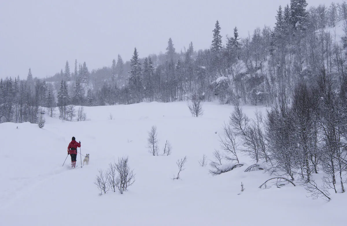 You'll be able to brave snowy weather after reading these three cold-weather poems. (Magnus Manske/CC BY-SA 2.0)