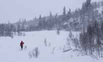 Three Poems on Snow to Keep You Warm This Winter