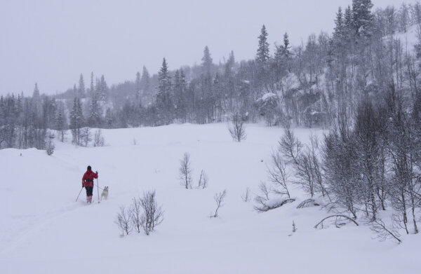 Three Poems on Snow to Keep You Warm This Winter