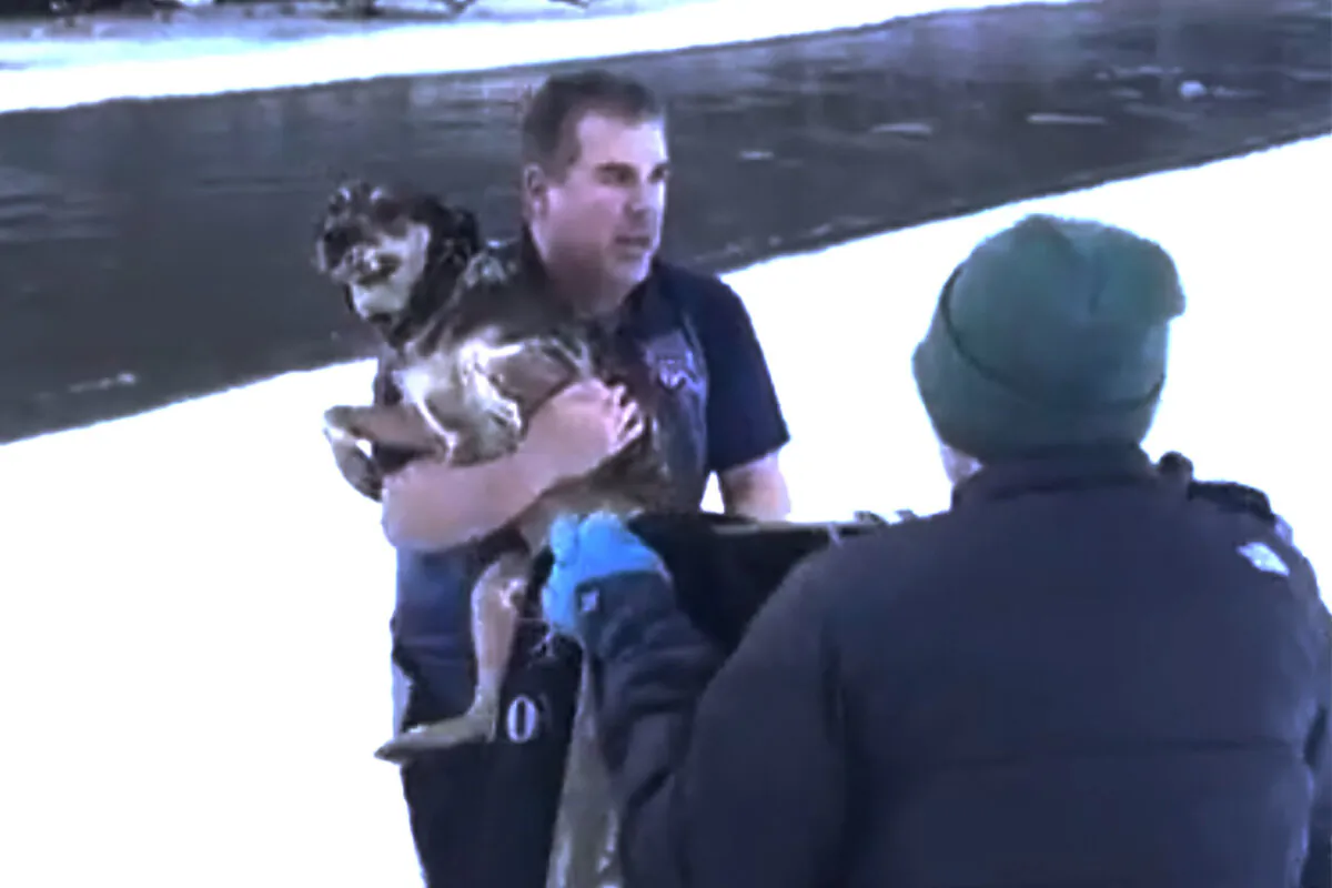 This video provided by Chris MacRitchie shows Chris MacRitchie rescuing a dog from the Winooski River as he is recorded by his son Ace MacRitchie on Friday, Jan. 10, 2025 in Berlin, Vt. (Ace MacRitchie via AP).