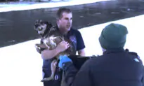 Man’s Dramatic Rescue of Dog From Freezing River in Vermont Caught on Video