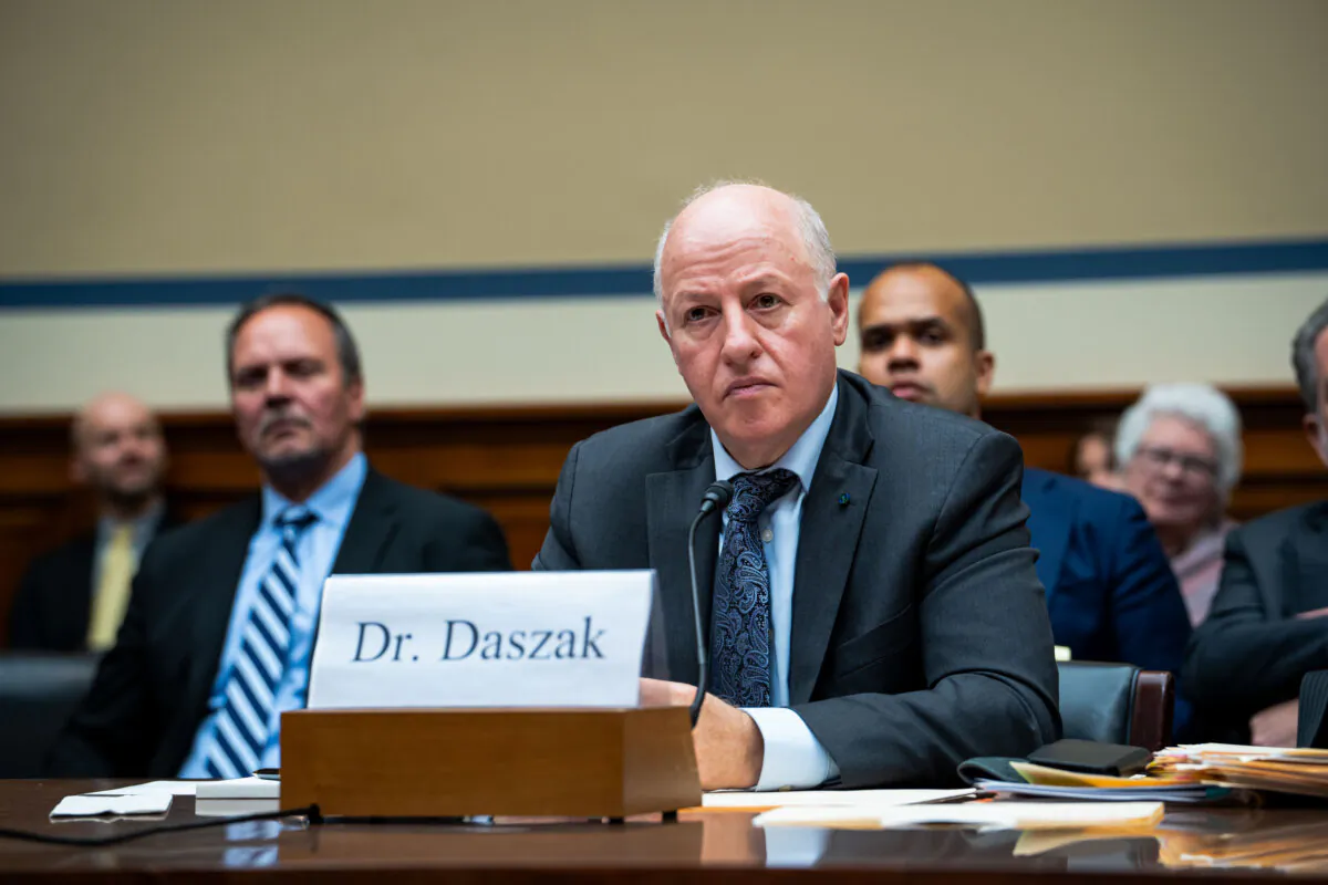 Peter Daszak, president of the EcoHealth Alliance, testifies before the Select Subcommittee on the Coronavirus Pandemic in Washington on May 1, 2024. (Madalina Vasiliu/The Epoch Times)