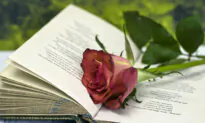 ‘A Red, Red Rose’: A Love Song, in Time for Burns Night