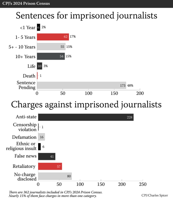 The nature of the charges against journalists detained around the world in 2024.