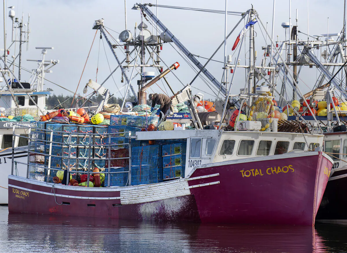Fishing boats remain at the Dennis Point wharf in Lower West Pubnico, N.S., in a file photo. (The Canadian Press/Andrew Vaughan) 
