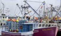 Canada Drops Retaliatory Seafood Tariffs on US in Response to Industry Requests