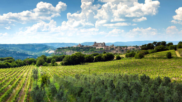 Orvieto: What an Italian Hill Town Should Be