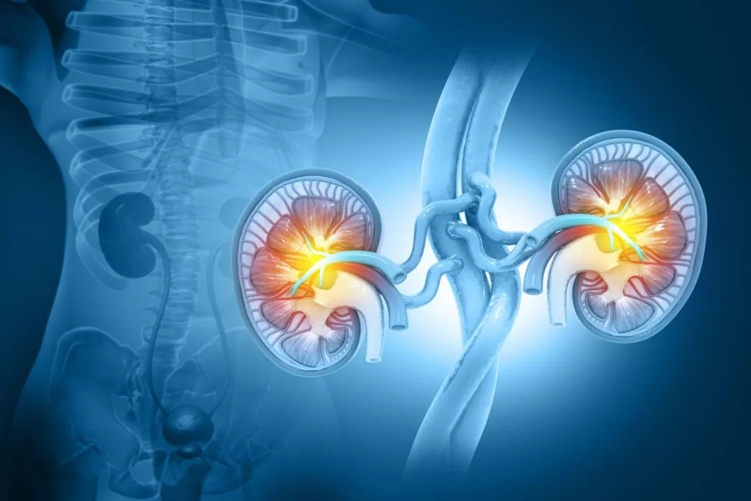 Early Signs of Kidney Disease and Ancient Ways to Protect Your Kidneys