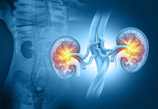 Traditional Methods for Stronger Kidneys