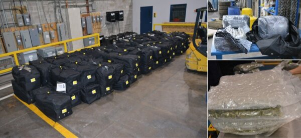 Border Agency Seizes Nearly 1,400 Kilos of Contraband Cannabis Bound for Nigeria