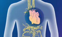 Activating the Vagus Nerve: An Overlooked Approach to Improving Heart Function