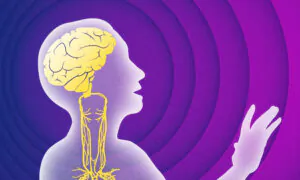 Stimulating the Vagus Nerve Could Slow Cognitive Decline–Here’s How