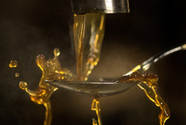 Quebec Maple Syrup Producers Fear 'Major Consequences' If Trump Tariffs Go Ahead