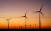 Trump Signs Executive Order Targeting Solar, Wind Energy Tax Credits