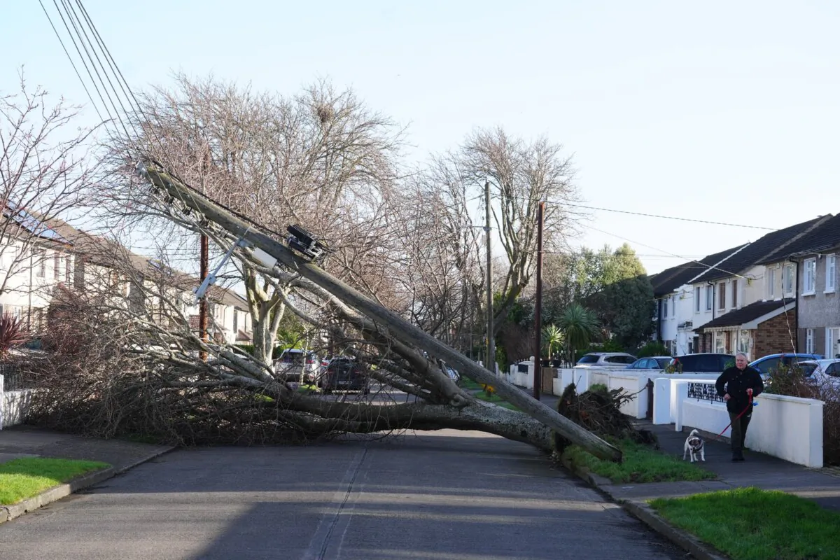 A fallen tree and telegraph pole on Grove Park Drive in Dublin on Jan. 24, 2025. (Brian Lawless/PA)