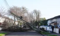 Nearly 1 Million Homes and Businesses Without Power Across Island of Ireland