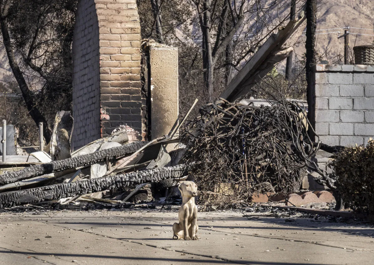 Damage from the Eaton Fire on the streets of Altadena, Calif., on Jan. 24, 2025. (John Fredricks/The Epoch Times)