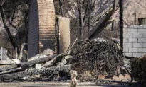 Coroner Confirms 30th Fatality in Los Angeles County Fires
