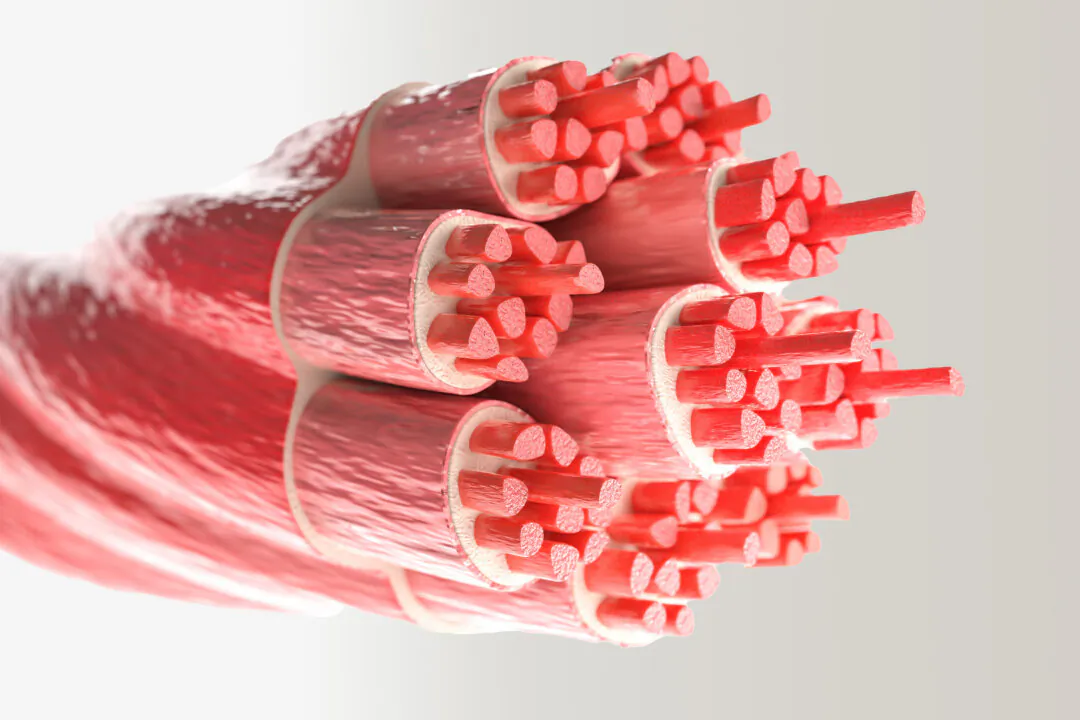 (Crevis/Shutterstock)