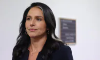 Tulsi Gabbard Testifies to Senate Confirmation Hearing for Director of National Intelligence