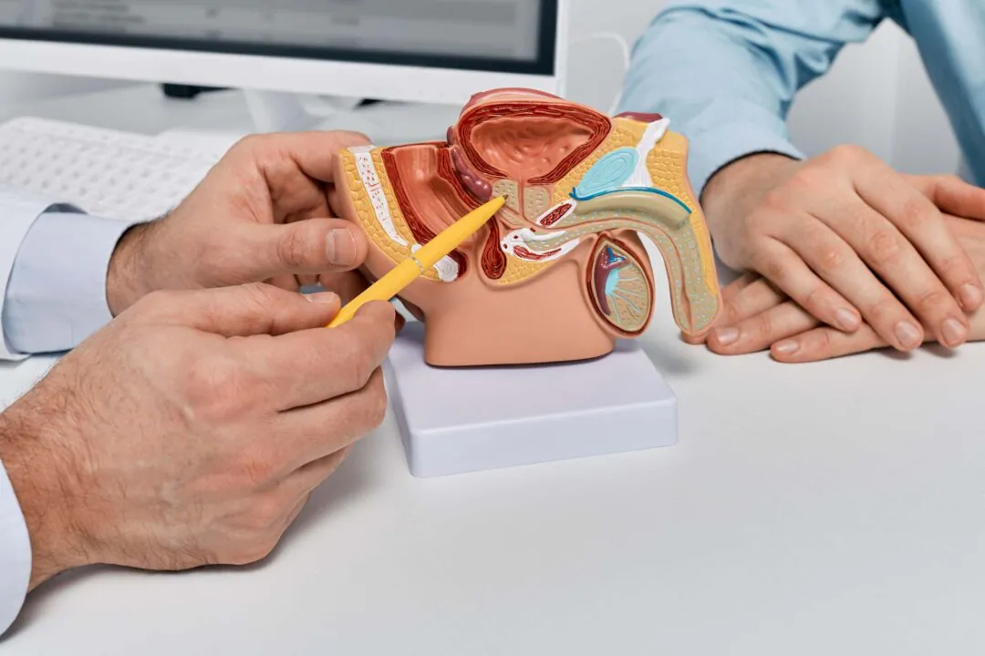 A stock image showing the location of the prostate. (Alamy/PA)