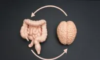 The Gut-Brain Axis: Unlocking the Connection Between Probiotics and Mental Health