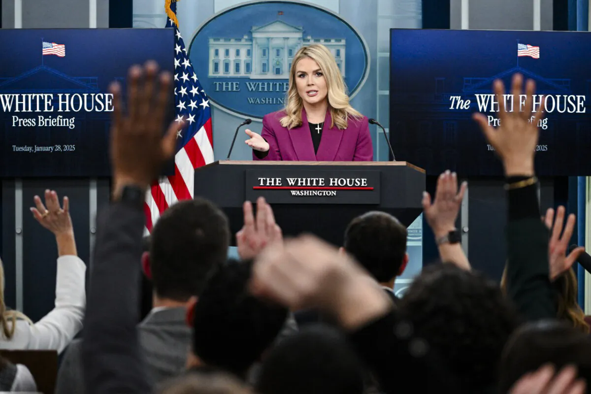 White House Press Secretary Karoline Leavitt takes questions during the daily briefing in the Brady Briefing Room of the White House on Jan. 28, 2025. (Roberto Schimidt/AFP via Getty Images)