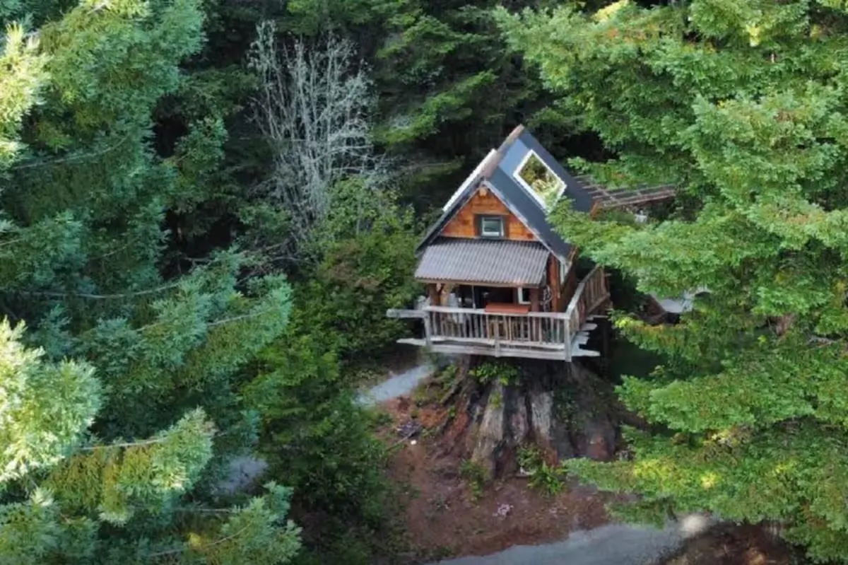 (Courtesy of Trinidad Treehouse)