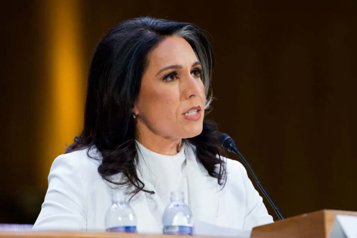 Tulsi Gabbard, then-nominee for director of national intelligence, testifies before Congress in Washington on Jan. 30, 2025. (Madalina Vasiliu/The Epoch Times)
