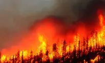 How Bureaucracy Fueled the Los Angeles Wildfires