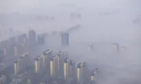 Only 10 of 195 Countries Meet UN Deadline to Submit Emissions-Reduction Plans