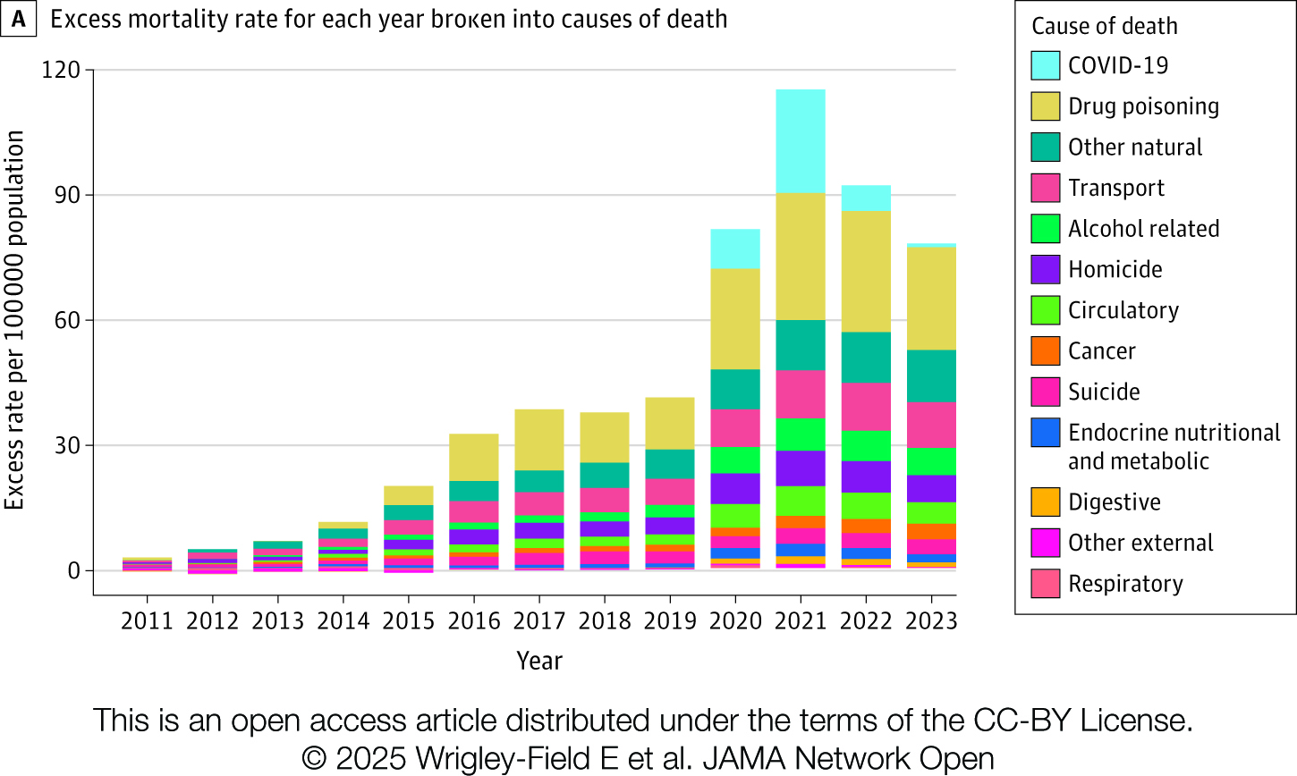 2011 to 2023 excess young adult mortality