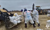 Russia-Appointed Officials in Crimea Declare Emergency as Oil Spill Reaches Sevastopol
