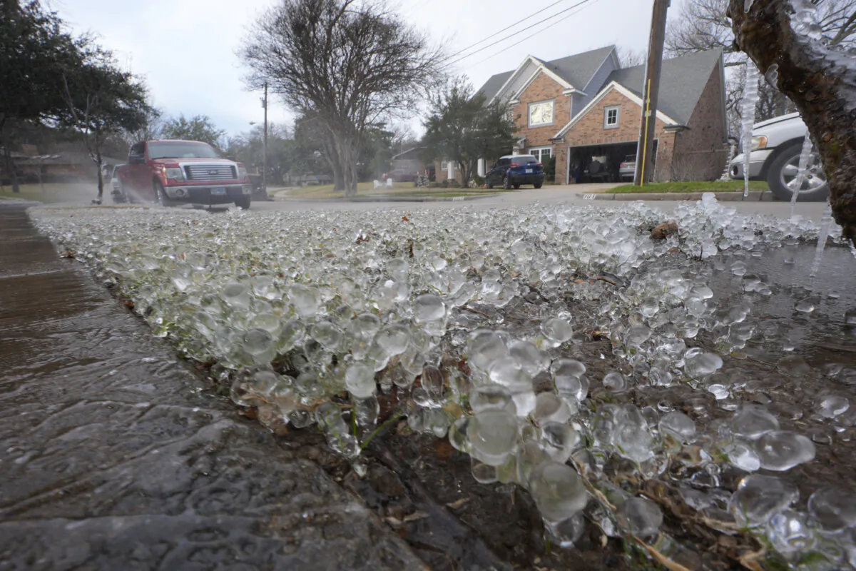 Cold temperatures and a lawn sprinkler create ice on grass ahead of a winter storm expected to hit the North Texas region in Richardson, Texas on Jan. 8, 2025. (LM Otero/AP Photo)