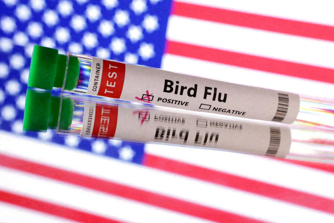 Test tube is seen labelled 'Bird Flu' in front of the U.S. flag in this illustration taken on June 10, 2024. (Dado Ruvic/Reuters)