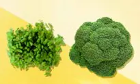 How a Broccoli Compound Became an Autism Hero
