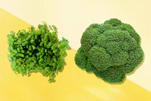 How a Broccoli Compound Became an Autism Hero