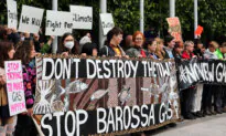 Environmental Law Group Could Lose Charitable Status for ‘Confected Evidence’